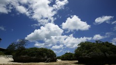 Landscapes Sea summer Beaches yun