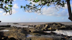 Landscapes Sea Trees clouds