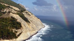 Landscapes Sea Trees coast rainbows