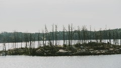Landscapes Sea Trees sweden Beaches stockholm