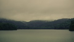 Landscapes Sea Trees water skies