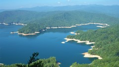 Landscapes Sea water forests