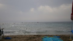 Landscapes Sea water ocean fish