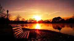 Landscapes Sea water sun Plants bench rocks sunlight