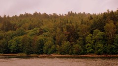 Landscapes Sea water sweden forests