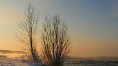 Landscapes Sea winter cold