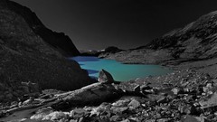 Landscapes selective coloring