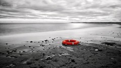 Landscapes selective coloring