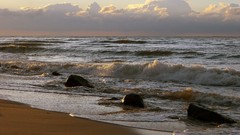 Landscapes shore Sea