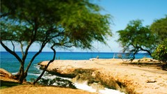 Landscapes shore shift