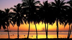 Landscapes silhouettes Cook Islands