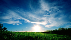 Landscapes skyscapes