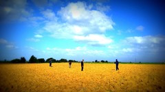 Landscapes skyscapes Majd Elhaj