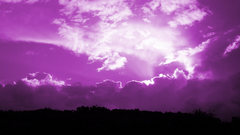 Landscapes skyscapes nature