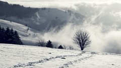 Landscapes snow