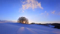 Landscapes snow