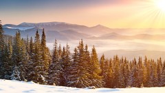 Landscapes snow forests