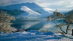 Landscapes snow landscapes