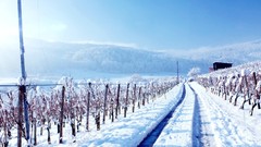 Landscapes snow landscapes