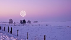 Landscapes snow moon
