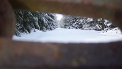 Landscapes snow nature