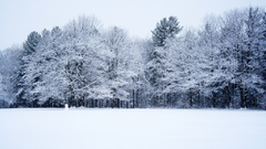 Landscapes snow nature