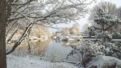 Landscapes snow Parks