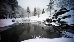 Landscapes snow rivers