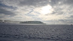 Landscapes snow The Netherlands Gelderland