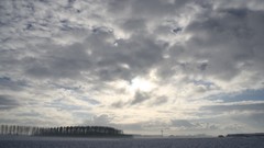 Landscapes snow The Netherlands Gelderland