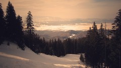 Landscapes snow Trees