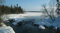 Landscapes snow Trees forests