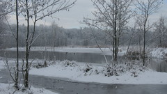 Landscapes snow Trees rivers