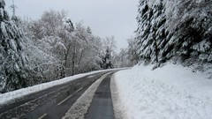 Landscapes snow Trees roads