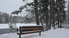 Landscapes snow winter