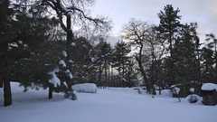 Landscapes snow winter