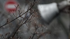 Landscapes snow winter