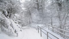 Landscapes snow winter