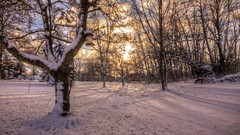 Landscapes snow winter