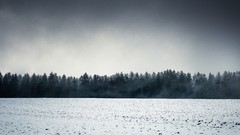 Landscapes snow winter