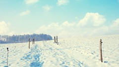 Landscapes snow winter