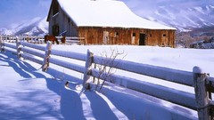 Landscapes snow winter