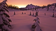 Landscapes snow winter