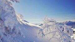 Landscapes snow winter