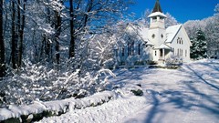 Landscapes snow winter