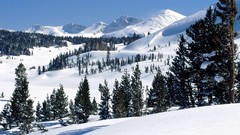 Landscapes snow winter