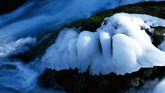 Landscapes snow winter