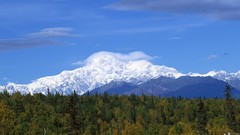 Landscapes snow winter