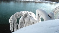 Landscapes snow winter