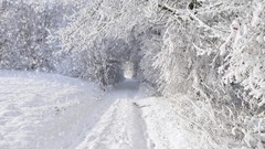 Landscapes snow winter